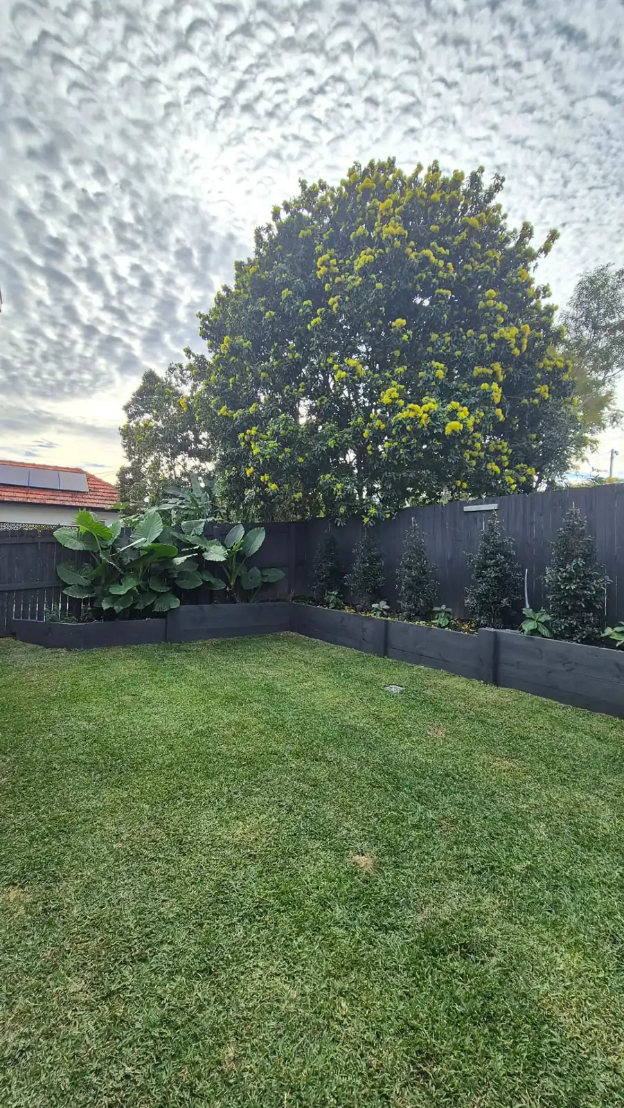 Tidy Brisbane backyard after a garden clean-up